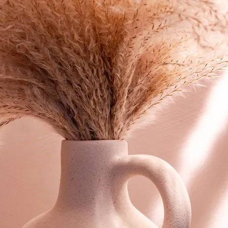 Freshly Renovated Next To Old Down Apartament