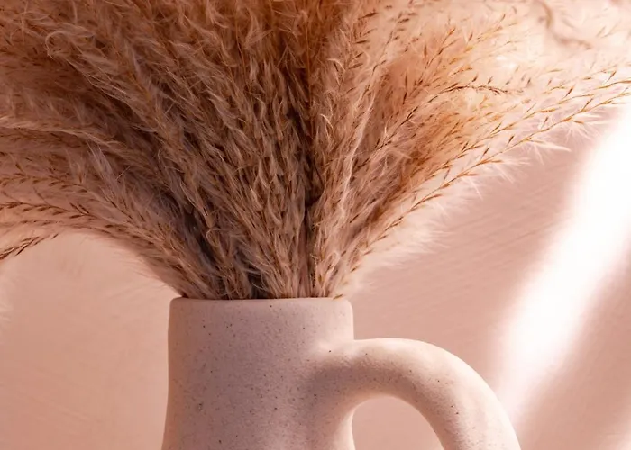 Freshly Renovated Next To Old Down Lejlighed