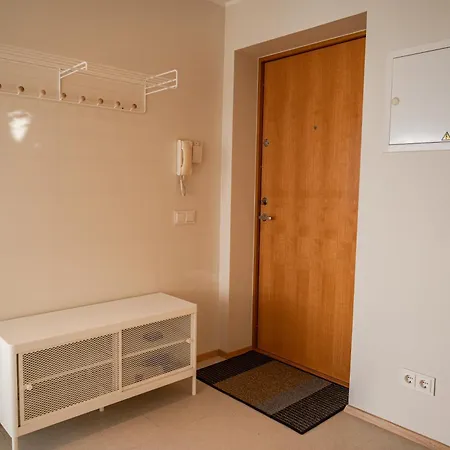 Freshly Renovated Next To Old Down Apartment Tallinn