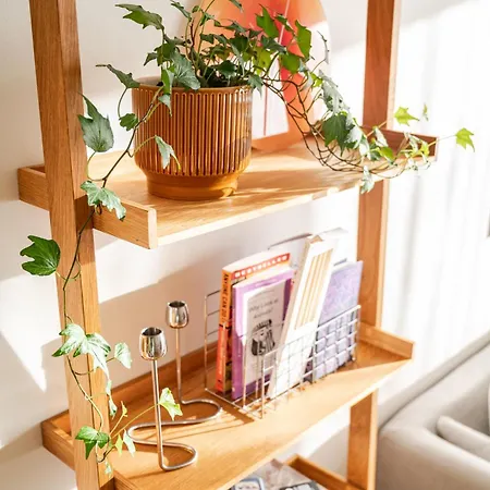 Freshly Renovated Next To Old Down Apartment Tallinn